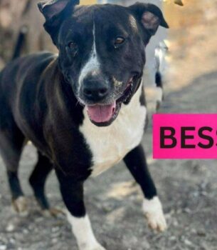 BESSIE