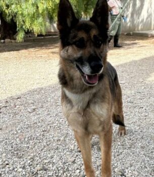 TELMA