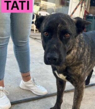 TATI