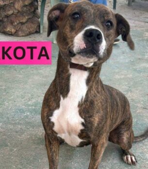 DAKOTA